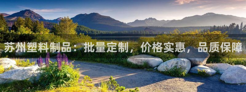 太阳gg注册/登录：苏州塑料制品：批量定制，价格实惠，品质保