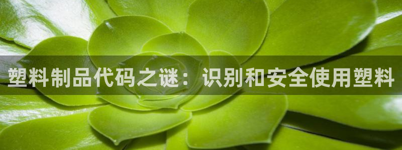 曲靖红太阳集团：塑料制品代码之谜：识别和安全使用塑料