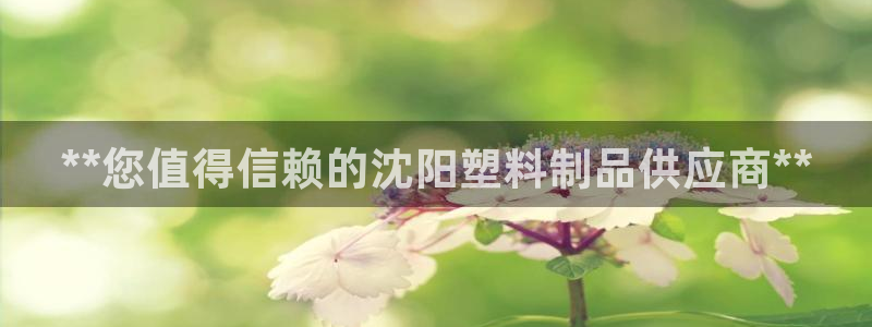 太阳集团网站入口官网下载：**您值得信赖的沈阳塑料制品供应商