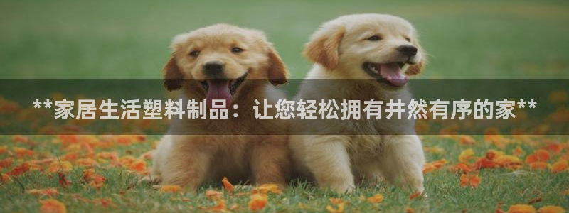 太阳集团城网站2017：**家居生活塑料制品：让您轻松拥有井