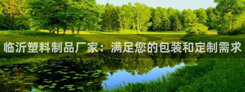 太阳集团城官方app：临沂塑料制品厂家：满足您的包装和定制需