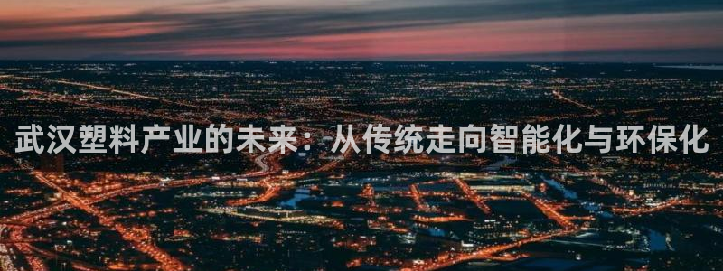 太阳app苹果下载地址：武汉塑料产业的未来：从传统走向智能化