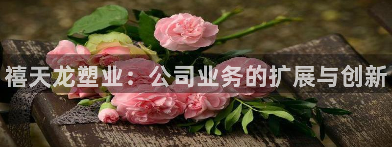 太阳成集团没有赌业吗：禧天龙塑业：公司业务的扩展与创新