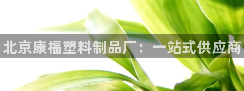 太阳诚集团有限公司怎么样：北京康福塑料制品厂：一站式供应商