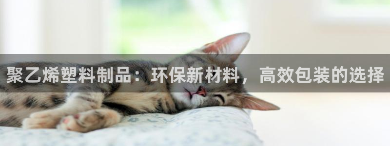 太阳集团在国内三个分公司：聚乙烯塑料制品：环保新材料，高效包
