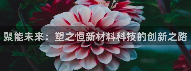 太阳集团电子游戏官方版：聚能未来：塑之恒新材料科技的创新之路