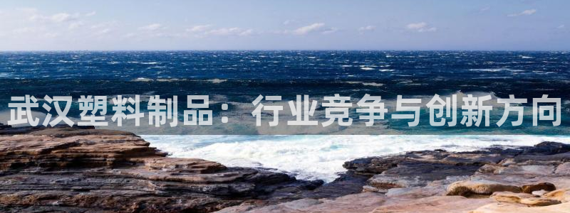太阳成集团tyc122cc下载：武汉塑料制品：行业竞争与创新