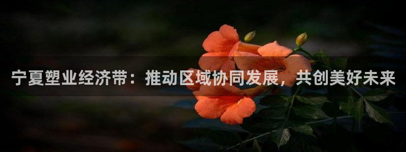 太阳成集团tyc7111cc的研发体系：宁夏塑业经济带：推动