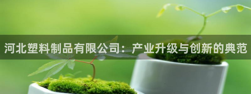 太阳集团股份有限公司招聘：河北塑料制品有限公司：产业升级与创
