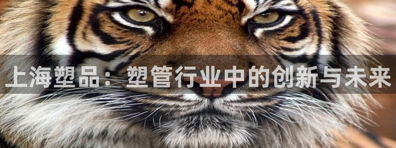 太阳成集团tyc122cc客服：上海塑品：塑管行业中的创新与