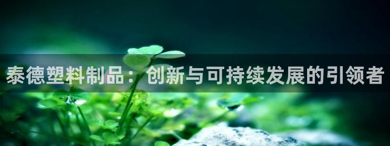 太阳集市网上商城：泰德塑料制品：创新与可持续发展的引领者