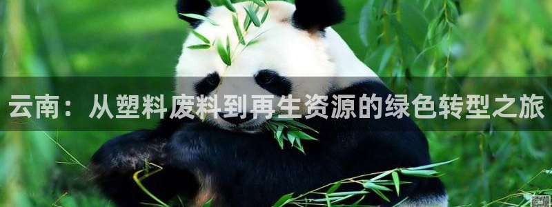太阳集团app十佳平台：云南：从塑料废料到再生资源的绿色转型