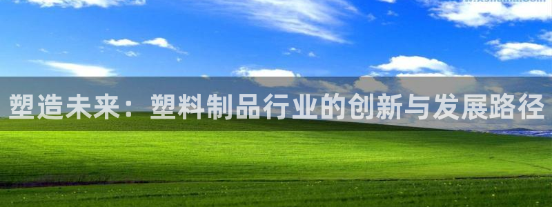 太阳集团游戏官方网址老字号：塑造未来：塑料制品行业的创新与发