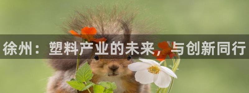太阳集团控股有限公司官网香港：徐州：塑料产业的未来，与创新同