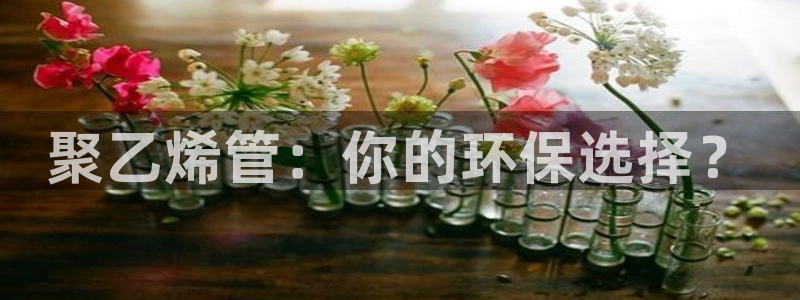 suncitygroup太阳集团：聚乙烯管：你的环保选择？