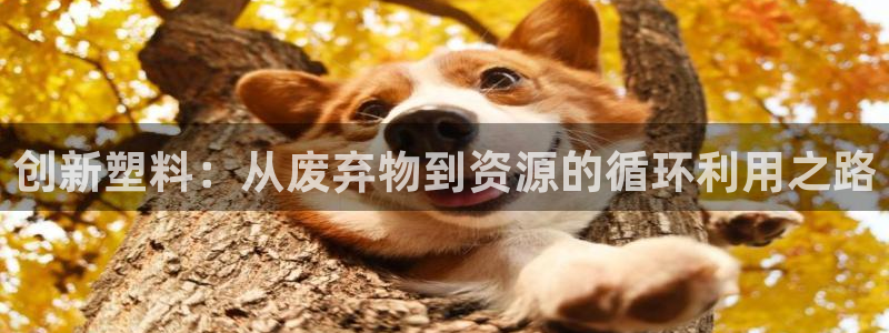 太阳集团控股有限公司官网香港：创新塑料：从废弃物到资源的循环