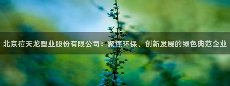 太阳诚集团是干什么的：北京禧天龙塑业股份有限公司：聚焦环保、
