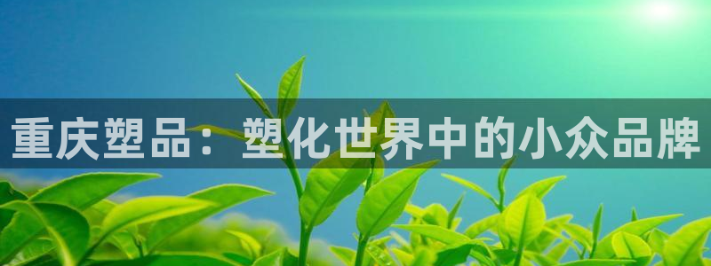 太阳集团股份有限公司：重庆塑品：塑化世界中的小众品牌
