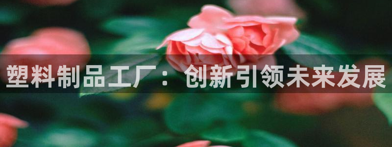 太阳appvip：塑料制品工厂：创新引领未来发展
