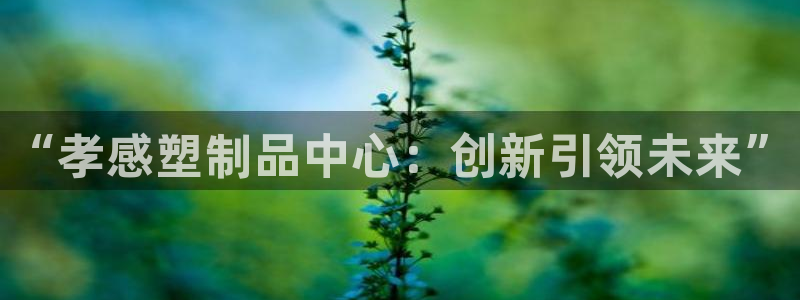 太阳集团的股价是多少：“孝感塑制品中心：创新引领未来”