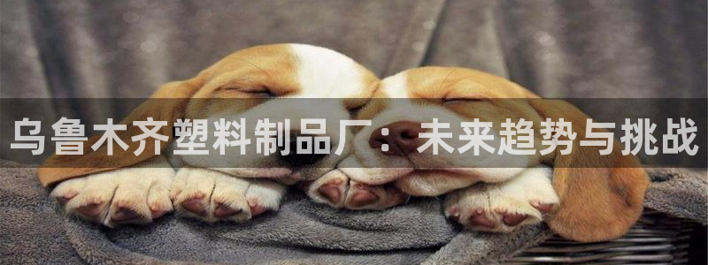 太阳成集团老板照片：乌鲁木齐塑料制品厂：未来趋势与挑战