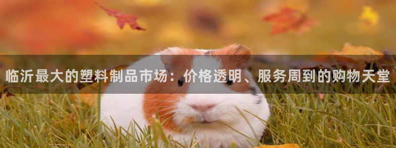 太阳2平台网址：临沂最大的塑料制品市场：价格透明、服务周到的