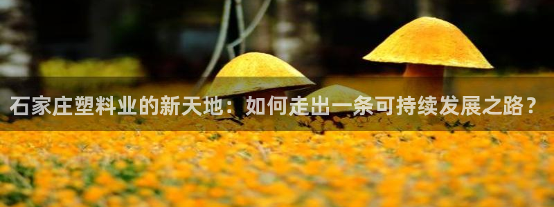 太阳软件：石家庄塑料业的新天地：如何走出一条可持续发展之路？