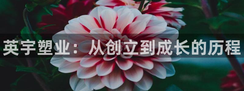 太阳集团网站游戏：英宇塑业：从创立到成长的历程