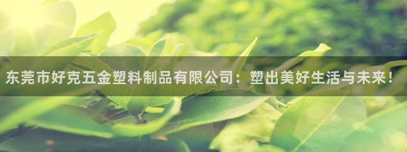 太阳集团游戏：东莞市好克五金塑料制品有限公司：塑出美好生活与