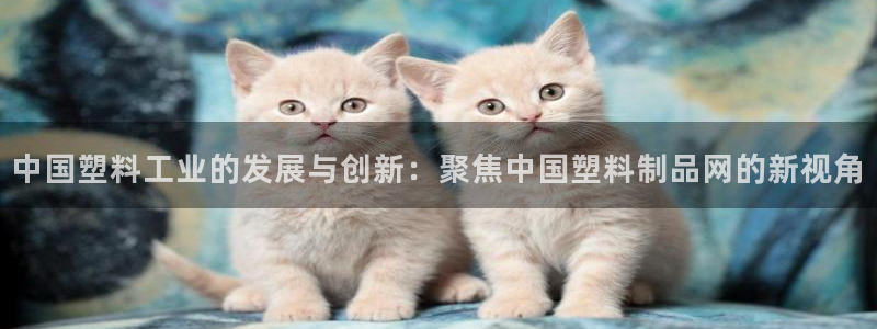 太阳http下载：中国塑料工业的发展与创新：聚焦中国塑料制品