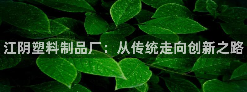 太阳集团是什么公司旗下的：江阴塑料制品厂：从传统走向创新之路