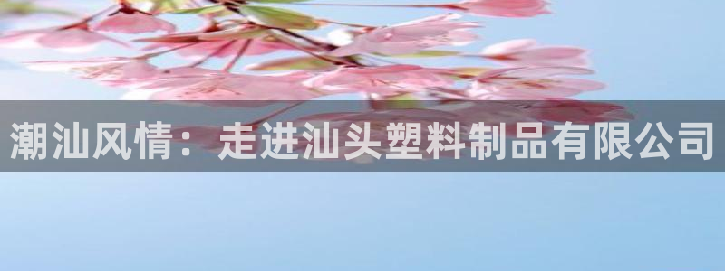 太阳诚集团有限公司：潮汕风情：走进汕头塑料制品有限公司