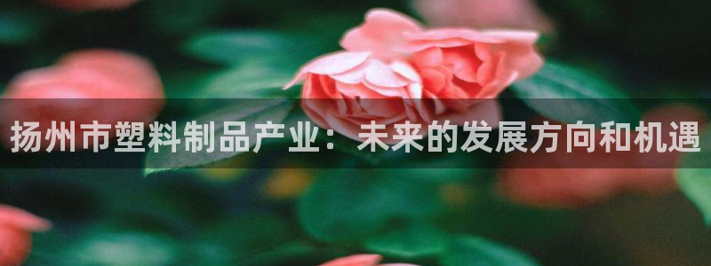 太阳软件：扬州市塑料制品产业：未来的发展方向和机遇
