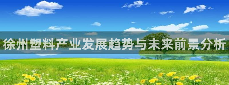 太阳诚集团有限公司有多少人：徐州塑料产业发展趋势与未来前景分