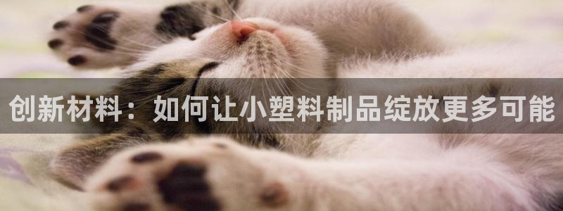 太阳集团股份有限公司官网：创新材料：如何让小塑料制品绽放更多