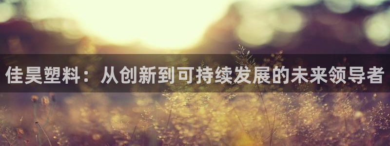 太阳诚集团是干什么的：佳昊塑料：从创新到可持续发展的未来领导