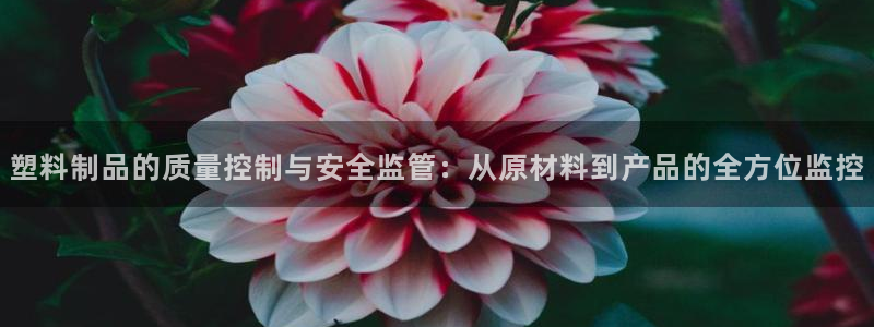 太阳集团游戏软件：塑料制品的质量控制与安全监管：从原材料到产