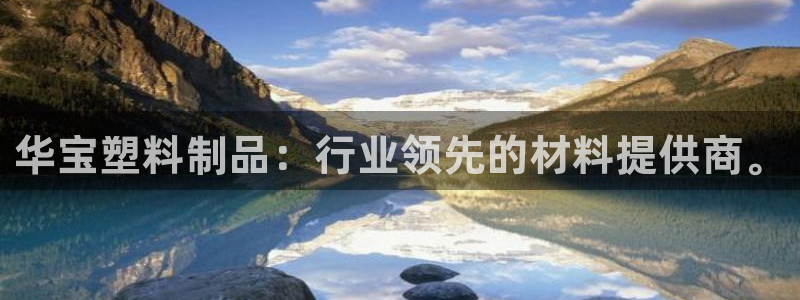 太阳集团董事长的儿子：华宝塑料制品：行业领先的材料提供商。