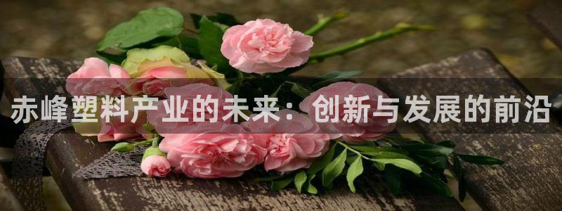 15vip太阳成集团：赤峰塑料产业的未来：创新与发展的前沿