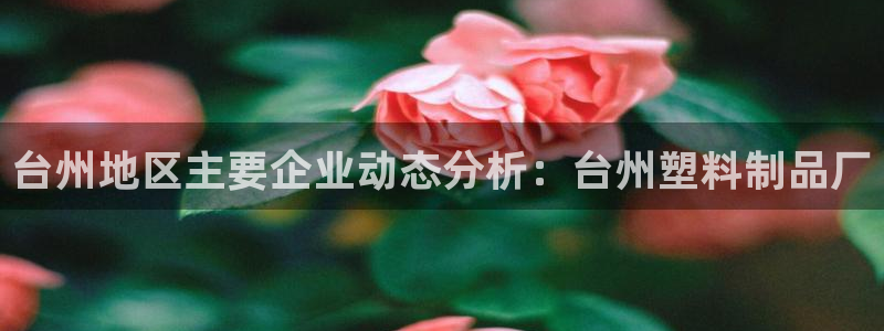 太阳成集团不能提现：台州地区主要企业动态分析：台州塑料制品厂