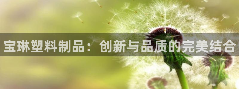 太阳老板身价：宝琳塑料制品：创新与品质的完美结合