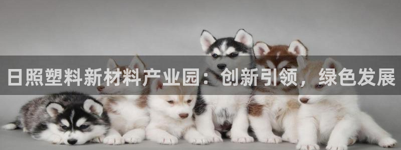 太阳集团股份有限公司官网：日照塑料新材料产业园：创新引领，绿