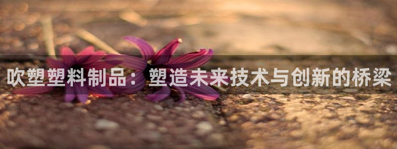 太阳集团唯一值得信赖网：吹塑塑料制品：塑造未来技术与创新的桥