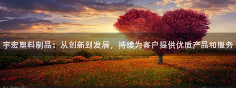 太阳集团是怎样一个公司：宇宏塑料制品：从创新到发展，持续为客