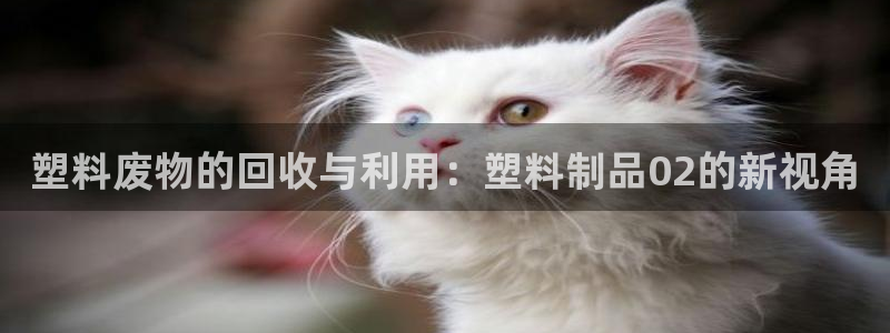太阳集团娱乐所有网站app游戏优势：塑料废物的回收与利用：塑